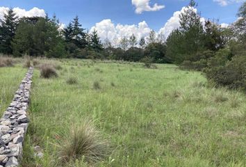 Lote de Terreno en  Carretera Llano Grande, Danxhó, Jilotepec, México, 54260, Mex