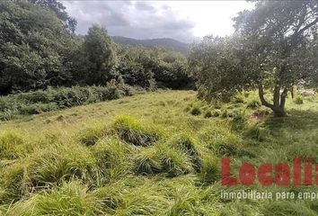 Terreno en  Seña, Cantabria