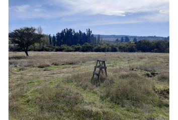 Parcela en  La Estrella, Cardenal Caro