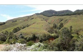 Lote de Terreno en  Urrao, Antioquia