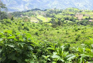 Lote de Terreno en  Quebradanegra, Cundinamarca