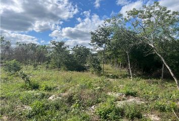 Lote de Terreno en  San Crisanto, Sinanché