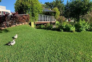 Lote de Terreno en  Alfredo V. Bonfil, Cancún, Quintana Roo