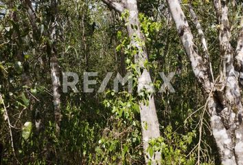 Lote de Terreno en  Coba, Tulum