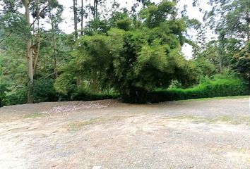 Lote de Terreno en  Poblado, Medellín