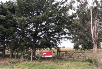 Casa en  General Mansilla, Partido De Magdalena