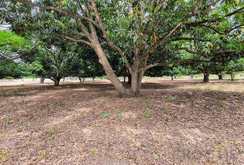 Lote de Terreno en  Apazapan, Veracruz