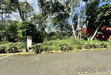 Lote de Terreno en  Centenario, Coatepec, Coatepec, Veracruz