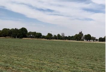 Rancho en  16 De Septiembre, Rincón De Romos