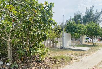 Lote de Terreno en  Chicxulub Pueblo, Yucatán