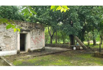 Lote de Terreno en  Timucuy, Yucatán