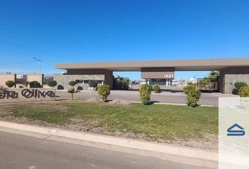 Casa en  Calle Tropero Sosa 1247-1285, Maipú, M5515, Mendoza, Arg