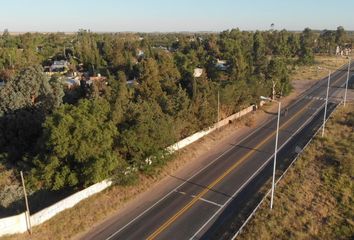 Terrenos en  Ruta Nacional 229, Coronel De Marina Leonardo Rosales, Provincia De Buenos Aires, Arg