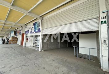 Local comercial en  Santa Rosa, San Vicente Chicoloapan De Juárez, Chicoloapan