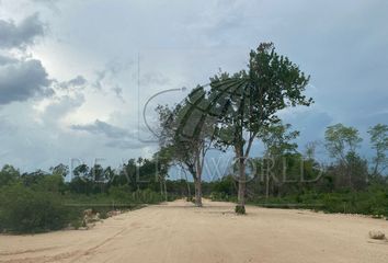 Lote de Terreno en  Sisal, Valladolid, Yucatán