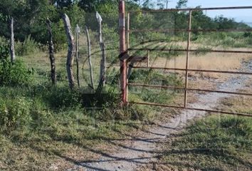 Lote de Terreno en  Padilla, Tamaulipas