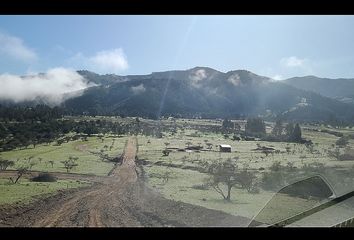 Parcela en  El Bosque, Provincia De Santiago