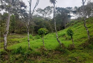 Lote de Terreno en  Silvania, Cundinamarca