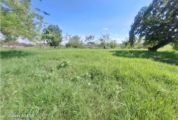 Lote de Terreno en  Quimbaya, Quindío