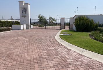 Lote de Terreno en  Rancho O Rancheria Aguaje De Espejo, Apaseo El Alto