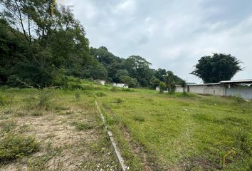 Lote de Terreno en  Tlalnelhuayocan, Veracruz