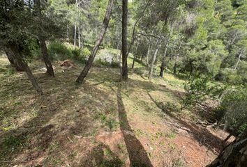 Terreno en  Castellar Del Valles, Barcelona Provincia