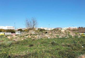 Terreno en  Albal, Valencia/valència Provincia