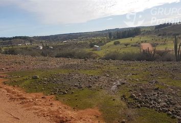 Parcela en  Litueche, Cardenal Caro