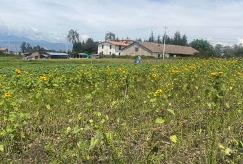 Terreno Comercial en  Yaruquí, Quito