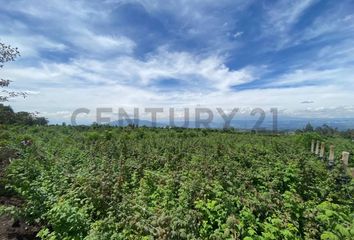 Terreno Comercial en  Yaruquí, Quito