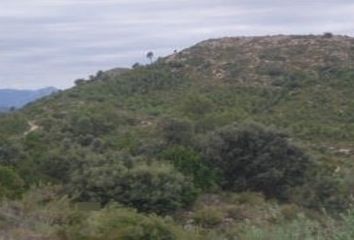 Terreno en  Tivissa, Tarragona Provincia