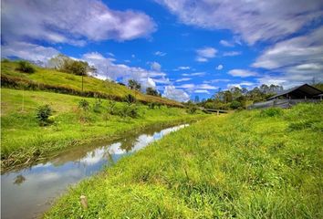 Lote de Terreno en  La Ceja, Antioquia