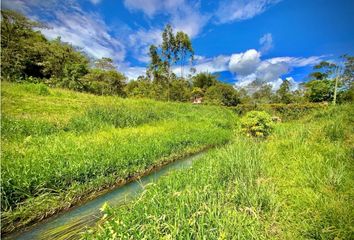 Lote de Terreno en  Rionegro Antioquía