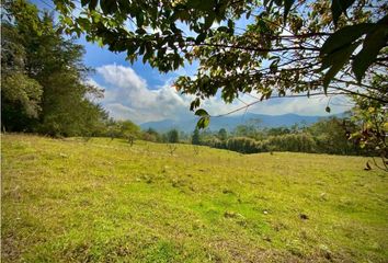 Lote de Terreno en  La Ceja, Antioquia