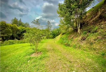 Lote de Terreno en  La Ceja, Antioquia