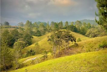 Lote de Terreno en  El Retiro, Antioquia