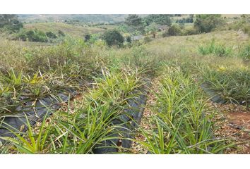 Lote de Terreno en  Potrerillo, Restrepo Valle Del Cauca