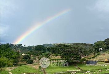 Lote de Terreno en  Palestina, Caldas