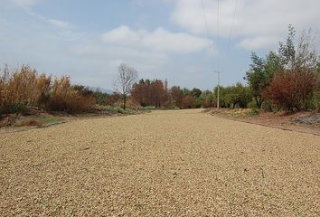 Parcela en  Palmilla, Colchagua