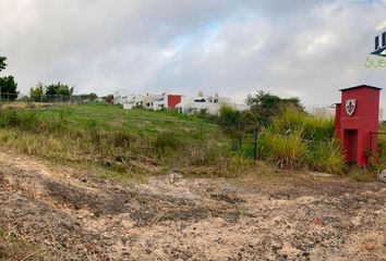 Lote de Terreno en  Calle Susa, Tulipanes De Las Ánimas, Xalapa, Veracruz De Ignacio De La Llave, 91220, Mex