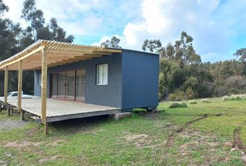 Casa en  Navidad, Cardenal Caro