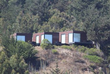 Casa en  Navidad, Cardenal Caro