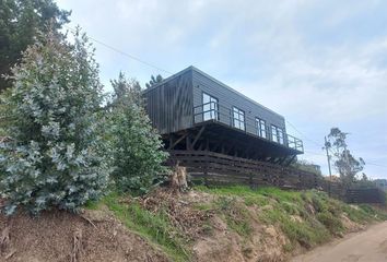 Casa en  Navidad, Cardenal Caro