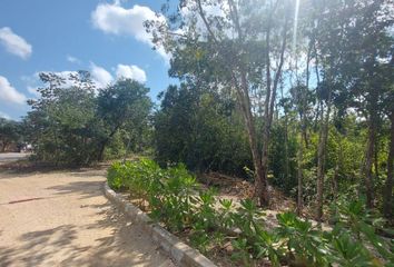 Lote de Terreno en  Coba, Tulum