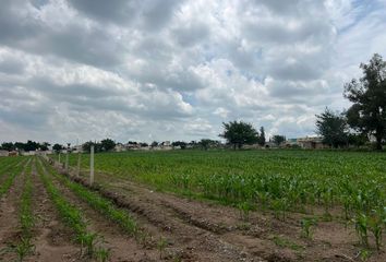 Lote de Terreno en  Rancho O Rancheria San Sebastián El Grande, Tlajomulco De Zúñiga