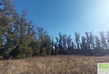 Terrenos en  General Pueyrredón, Provincia De Buenos Aires, Arg