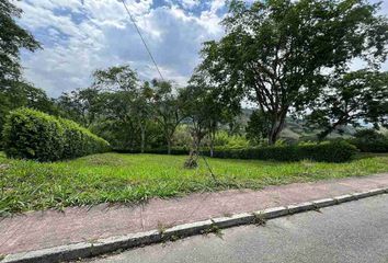 Lote de Terreno en  Centro, Manizales