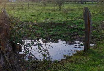 Parcela en  San Nicolás, Ñuble (región)