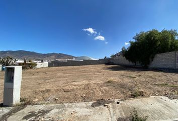 Lote de Terreno en  Los Tuzos, Mineral De La Reforma