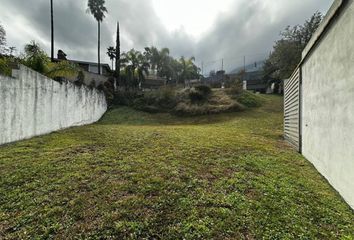 Lote de Terreno en  Privada Monte Tolima, Villa Montaña Sectores Primer Y Segundo, San Pedro Garza García, Nuevo León, 66235, Mex